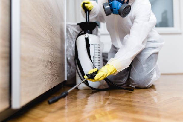 Best Pest Control Near Me  in Marion, VA