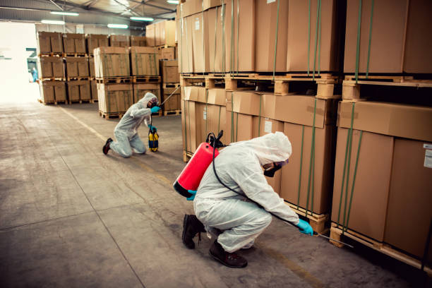 Best Pest Prevention Services  in Marion, VA