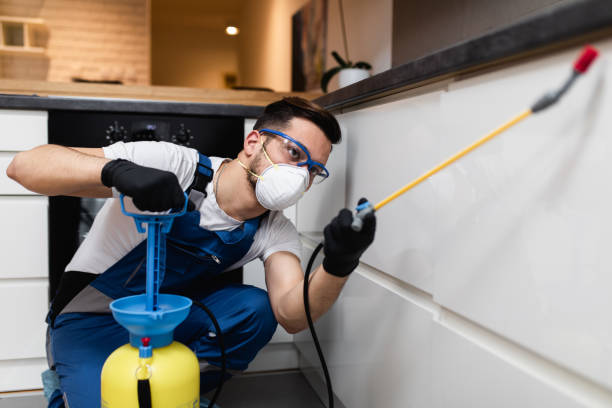 Best Bed Bug Extermination  in Marion, VA